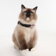 Tickless - Cat Ultrasonic Collar Tick Repeller - Rosegold