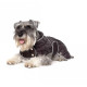 Ancol Muddy Paws - Diamond Quilted Dog Coat - Black