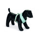 Beeztees Puppy Harness Blue