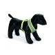 Beeztees Puppy Harness Grey