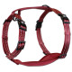 Alcott - Adventure Harnesses