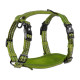 Alcott - Adventure Harnesses