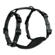 Alcott - Adventure Harnesses