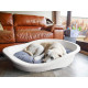 Rosewood - Sonny Classic Cream Plastic Dog Bed