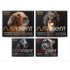 Nutriment 10kg Raw Adult Dog Food Starter Pack