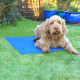 Rosewood - Chillax Cooling Dog Mat