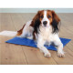 Rosewood - Chillax Cooling Dog Mat