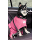 Dogrobes - Dog Robe Drying Coat - Pink