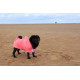 Dogrobes - Dog Robe Drying Coat - Pink