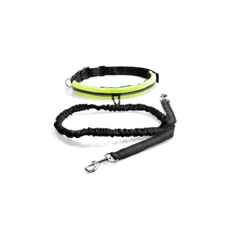 OutPaws Running Belt & Lead