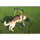 Dog Agility Hoop Jump