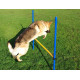 Dog Agility Hurdle Jump