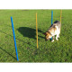 Dog Agility Slalom Weave Poles - Pack of 5