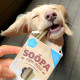 Soopa - Puppy Dental Sticks - Banana &amp; Pumpkin