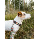 Woolly Wolf - Woodland Dog Collar