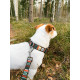 Woolly Wolf - Woodland Dog Collar