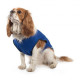 Ancol - Dog Cooling Vest