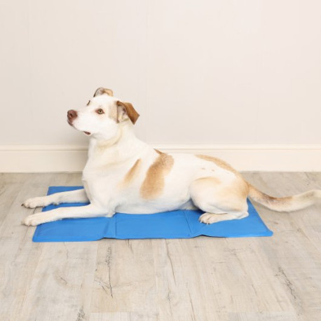 Dog Cooling Mat