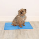 Dog Cooling Mat