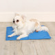 Dog Cooling Mat