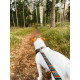 Woolly Wolf - Woodland Dog Lead