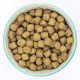 Burns - Puppy/Junior Original Lamb &amp; Rice - Dry Puppy Food