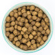 Burns - Puppy/Junior Original Chicken &amp; Rice - Dry Puppy Food