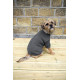 Banbury &amp; Co - Knitted Dog Jumper - Grey