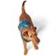 Hunter - London Comfort Dog Harness – Light Blue