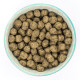 Burns - Grain Free Turkey &amp; Potato Dry Dog Food