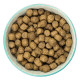 Burns - Original Chicken &amp; Brown Rice - Dry Dog Food