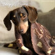 Ancol - Comfort Dog Blanket - Brown