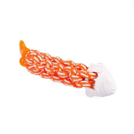 Tough Twist - Textured Fish Dog Toy