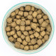 Burns - Original Lamb &amp; Brown Rice - Dry Dog Food