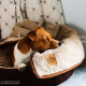 Ancol - Luxury Dog Blanket