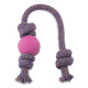 Beco Natural Rubber Ball on Rope Dog Toy, Pink, Small