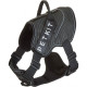 Petkit Air Fly Pet Harness Large