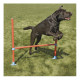 Rosewood - Agility Hurdle