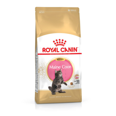 Royal Canin Maine Coon Kitten 2kg