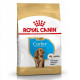 Royal Canin Cocker Spaniel Puppy Food 3kg