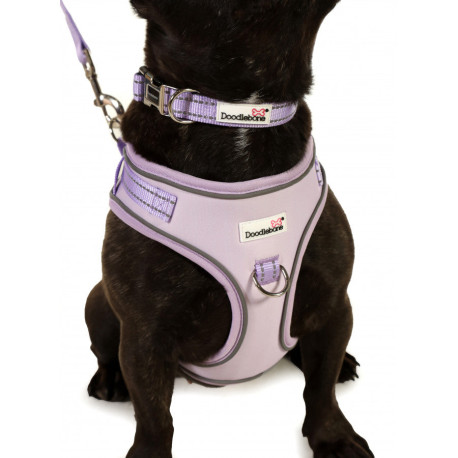 Doodblebone Padded Dog Collar