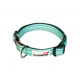 Doodblebone Padded Dog Collar