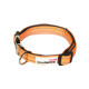 Doodblebone Padded Dog Collar