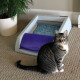 ScoopFree - Original Self-Cleaning Cat Litter Tray Box