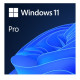 Microsoft Windows 11 Professional 64-bit, OEM DVD, Single Copy