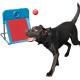 Dog Agility Flyball Kit