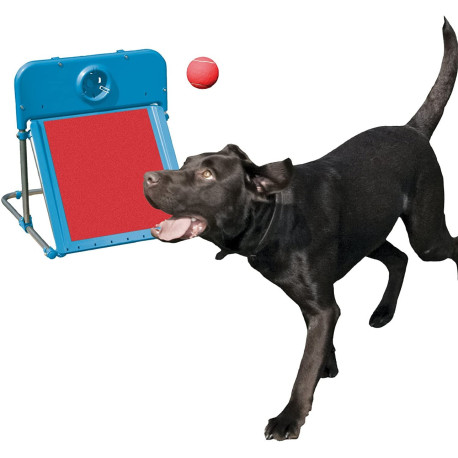 Dog Agility Flyball Kit