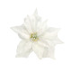 Snowy White Poinsettia with Clip (Dia25cm)