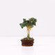 Mini Gemstone Tree On Wood Base - Green Aventurine (15 stones)