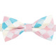 Colourful Check Pre-Tied Bow Tie